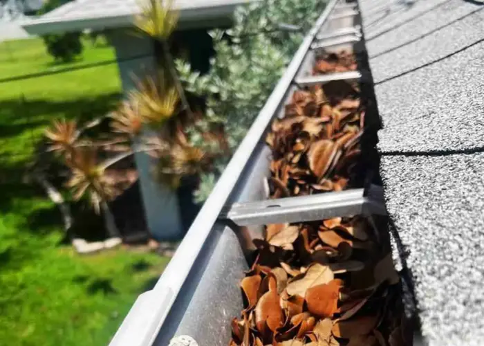 Gutter Cleaning Opelousas home page